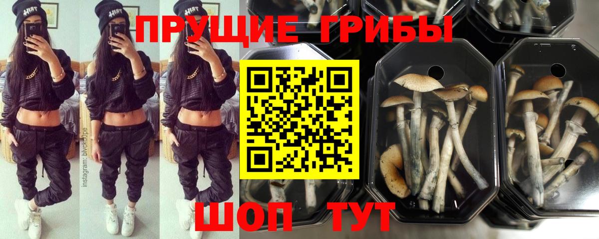 Галлюциногенные грибы мицелий Павлово